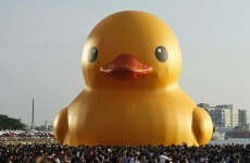 Giant yellow duck descends on Taiwan