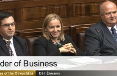 Can expelled TDs join the Dáil Technical Group? Here's why it's 'as clear as mud'