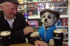 7 shopping experiences you'll only have in Ireland