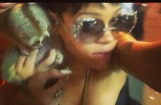 Rihanna's Instagram photos used as evidence in Thailand