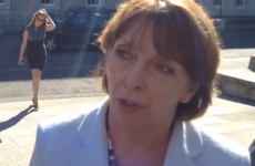 'Fundamentally undemocratic': Ex-Labour TDs want Yes vote in Seanad referendum