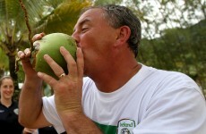 Everything you wanted to know about Noel King but were afraid to ask