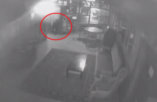 Bear told to get out of Alaskan pub, leaves without incident
