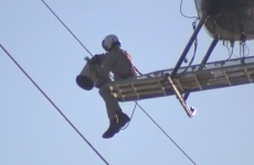 Seagull trapped in power lines rescued by a helicopter