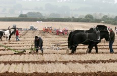 Survey finds 63 per cent of farmers agree with abortion legislation