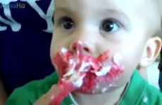 Babies eat cake better than adults and here's the proof
