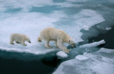 Poll: Do you believe in global warming?