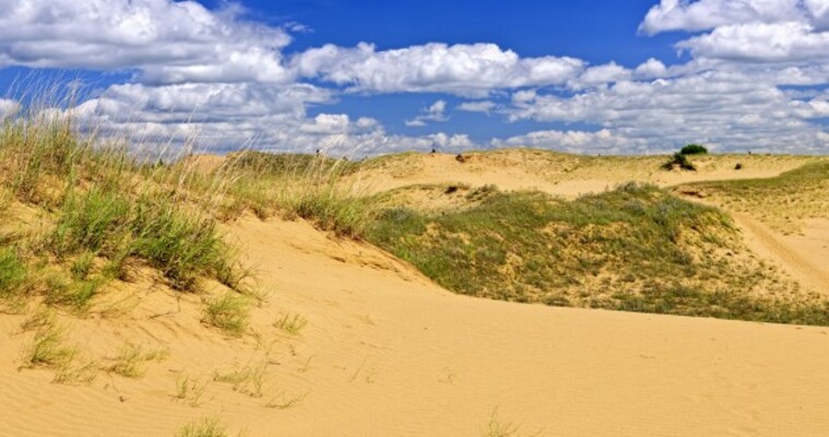 Sands of time running out for rare Canadian desert · TheJournal.ie