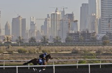 Betting for Dubai World Cup Day