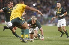 Poor Wallabies no match for 'Boks