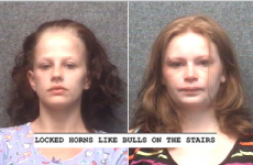 Is this the best police report ever written?