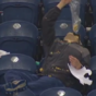 Drunk American football fan drowns his sorrows in popcorn
