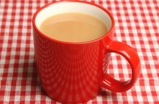 The 13 types of tea drinker