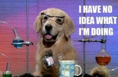 10 people you will meet in college