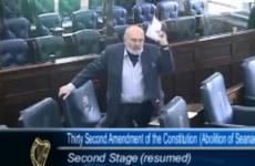 ‘Fannies’, ‘prats’ and ‘clowns’: 10 bizarre moments from the 24th Seanad