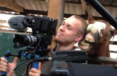 WATCH: Horse nibbles cameraman's ear, is clearly taking the mick