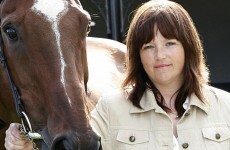 Equine charity calls for castration of horses in 'problem' communities