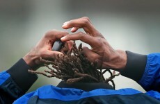 9 reasons to be get excited about this weekend's Pro12 action