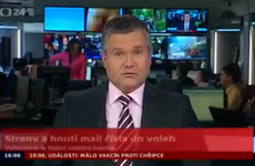Penis makes surprise appearance on TV news broadcast (NSFW)