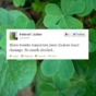 The @Ireland Twitter account had a big night last night