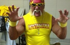 Hulk Hogan is starting a new web hosting service called Hostamania