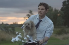 Kodaline's 'All I Want' has a new video, and it'll make you cry