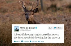 Tweet Sweeper: Chris de Burgh tells a hilarious joke