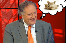 Vincent Browne finally admits that he's a big fan of cats