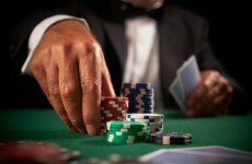Overhanging trees, gambling and everything else happening in Leinster House today