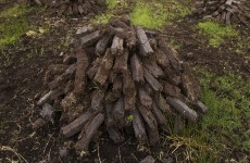 Unauthorised turf cutting declined by 45 per cent so far this year