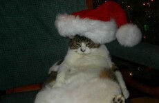 8 reasons why it's not ok to talk about Christmas yet
