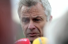 Finding new manager will take time, says Ireland headhunter Ruud Dokter