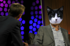 The Love/Hate cat on the Late Late... and 4 other weekend TV picks