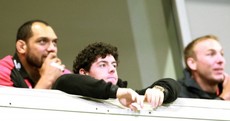 Snapshot: Wee Rory McIlroy peers over the wall to watch Ulster beat Leicester