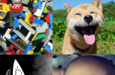 Here are the heartwarming and surprising things that make you all happy