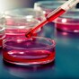 Simple blood test can diagnose lung and other cancers