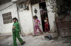 Syrians told they can eat dogs, cats and donkeys