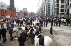 Enterprise Minister Bruton seeks legal advice on closure of Smithfield Horse Fair