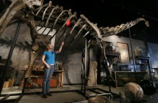You can now buy a dinosaur for €710,000