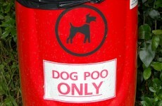 Welsh Police apologise after naming dog poo talks "Operation Irish"