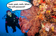 Underwater wi-fi could soon become a reality