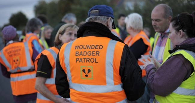 On patrol with Britain's badger cull saboteurs