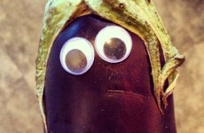 Definitive proof that everything is better with googly eyes