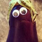 Definitive proof that everything is better with googly eyes