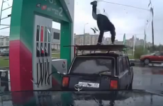 Petrol station attendant breaks out his dance skills on the forecourt