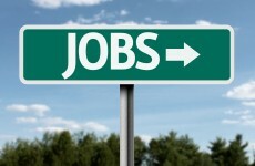 100 new jobs announced for Alltech in Dunboyne