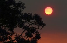 More than 200 homes destroyed as wildfires threaten Sydney outskirts