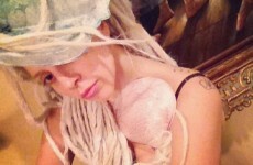 Lady Gaga is NOT a hermaphrodite, OK?... it's The Dredge