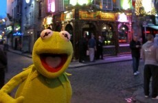 Kermit the Frog came to Dublin!