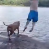 Dog thinks owner is drowning, so jumps into water to save him
